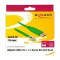 Picture of Delock pretvornik USB-Serial RS232 RJ45 FTDI 1,8m 62960