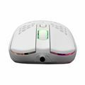 Picture of WHITE SHARK miška bela GM-5007 GALAHAD gaming