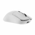 Picture of WHITE SHARK miška bela GM-9010 MAXIMUS-W Gaming