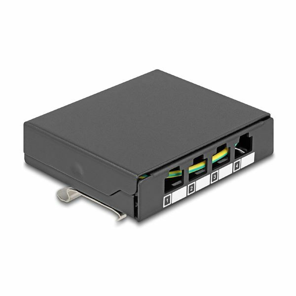 Delock nadometna vtičnica 4x keystone DIN 90627