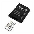 Picture of SANDISK microSD 128GB Class 10 U3 V30 spominska kartica SDSQQNR-128G-GN6IA