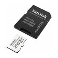 Picture of SANDISK microSD 256GB Class 10 U3 V30 spominska kartica SDSQQNR-256G-GN6IA